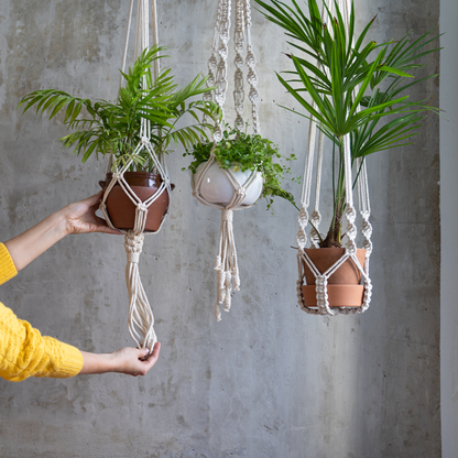 Plant & Knots – Makramee Workshop
