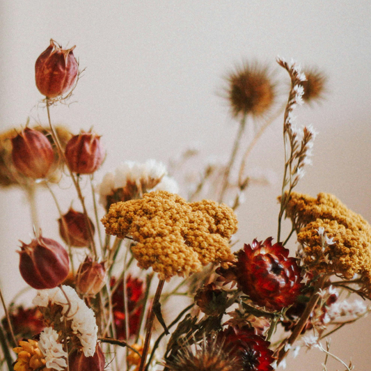 Bloom Box – Trockenblumen Kunst